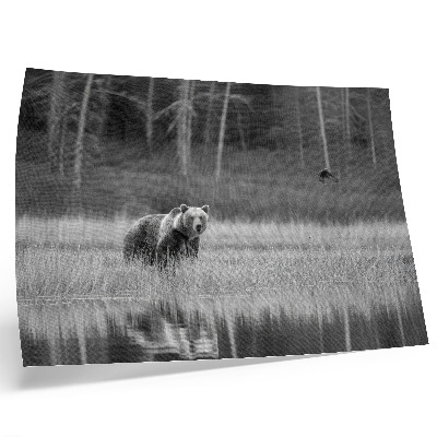 Väggposter Björn vid vattnet svartvit atmosfär