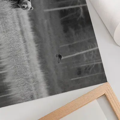 Väggposter björn vid vattnet i svartvit atmosfär