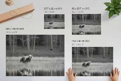 Väggposter björn vid vattnet i svartvit atmosfär