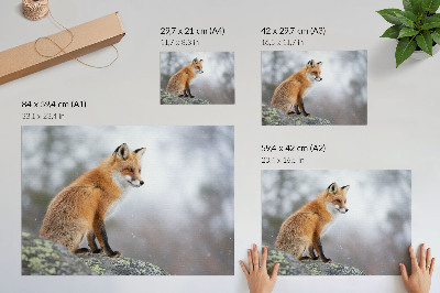 Poster Räv i vinterlandskapet, mild naturfrid