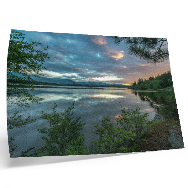 Poster Sjöreflektioner himmel gröna träd lugn