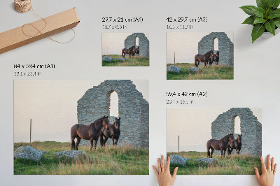 Stilren väggposter Kontrasten mellan ruiner och hästar i grönskan