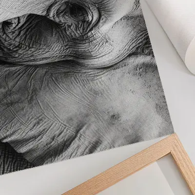 Poster monokroma elefantdetaljer i minimalistisk elegans