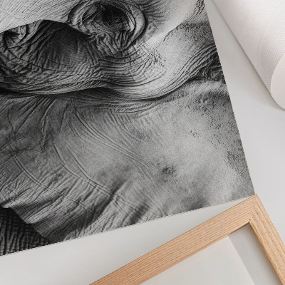 Poster Monokroma elefantdetaljer minimalism elegans