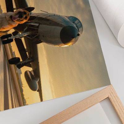Väggposter Hund och flygplan i solnedgången - en unik syn