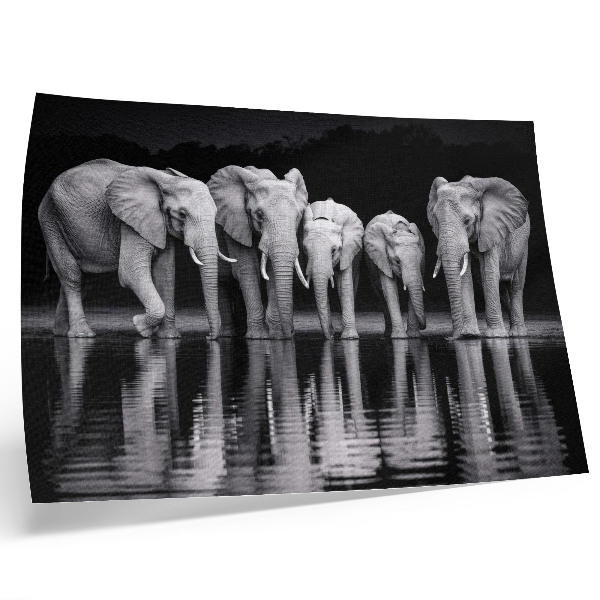 Stilren väggposter Elefanter vid vattnet, fridfull harmoni och reflektion