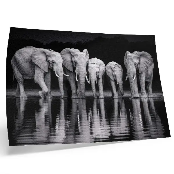 Väggposter med elefanter fridfull harmoni och reflektion vid vattnet