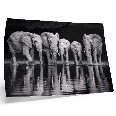 Stilren väggposter Elefanter vid vattnet, fridfull harmoni och reflektion