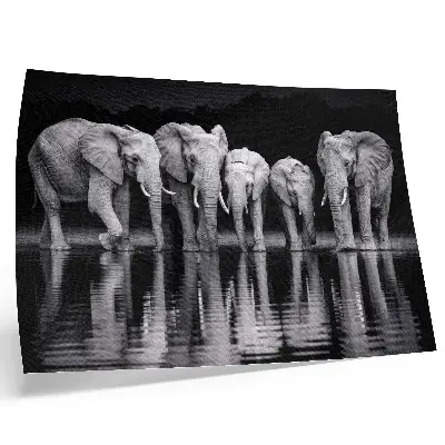Väggposter med elefanter fridfull harmoni och reflektion vid vattnet