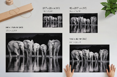 Stilren väggposter Elefanter vid vattnet, fridfull harmoni och reflektion