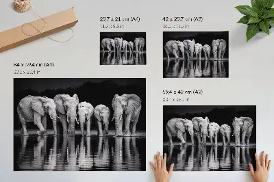 Väggposter med elefanter fridfull harmoni och reflektion vid vattnet