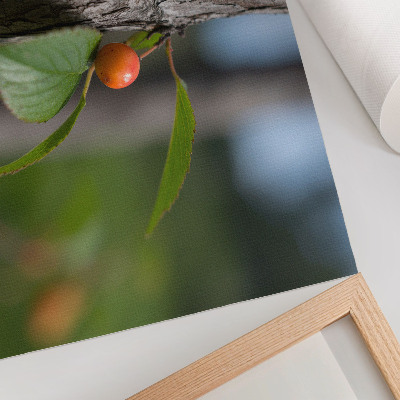 Väggposter Apelsinfrukt gröna blad brun bark
