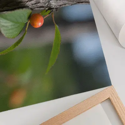Väggposter med motiv av apelsinfrukt, gröna blad och brun bark
