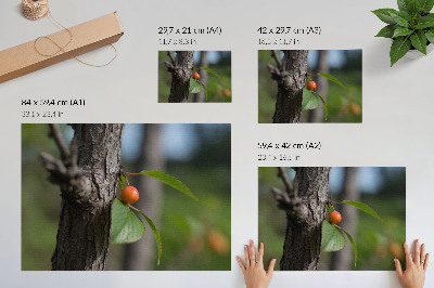 Väggposter Apelsinfrukt gröna blad brun bark
