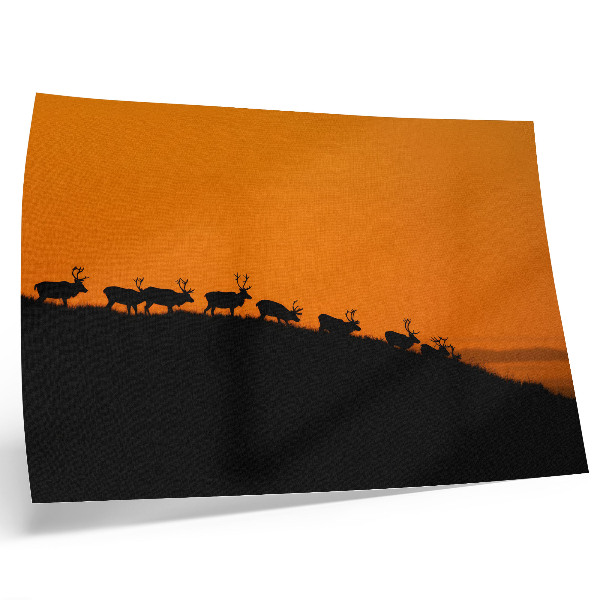 Väggposter Silhuetter av rådjur på en kulle med orange bakgrund