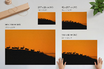 Väggposter Silhuetter av rådjur på en kulle med orange bakgrund