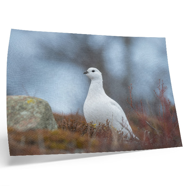 Väggposter En vit fågel i en vintermiljö