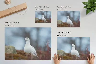 Väggposter vit fågel i en vintermiljö