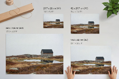 Väggposter Trästuga, hedmark, lugnt vatten