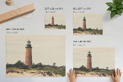 Poster Fyr sand träd harmoni av naturen