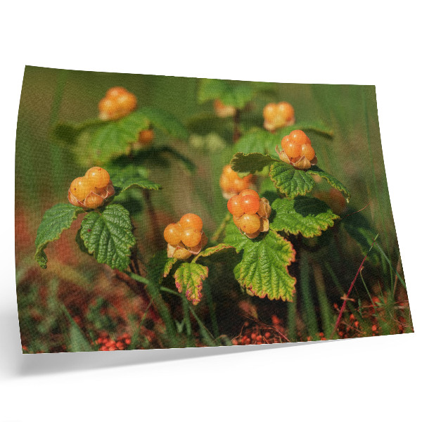 Poster till sovrum Gröna blad orange frukter naturlig charm