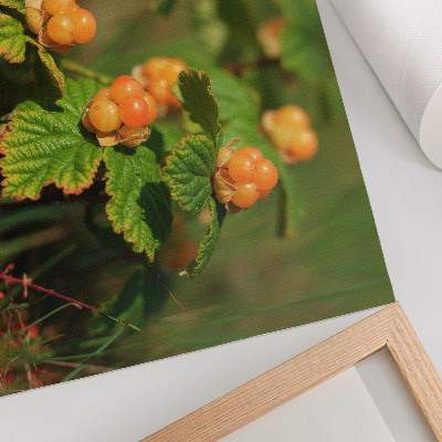 Poster till sovrum Gröna blad orange frukter naturlig charm