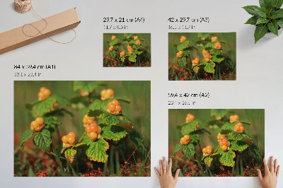 Poster till sovrum Gröna blad orange frukter naturlig charm