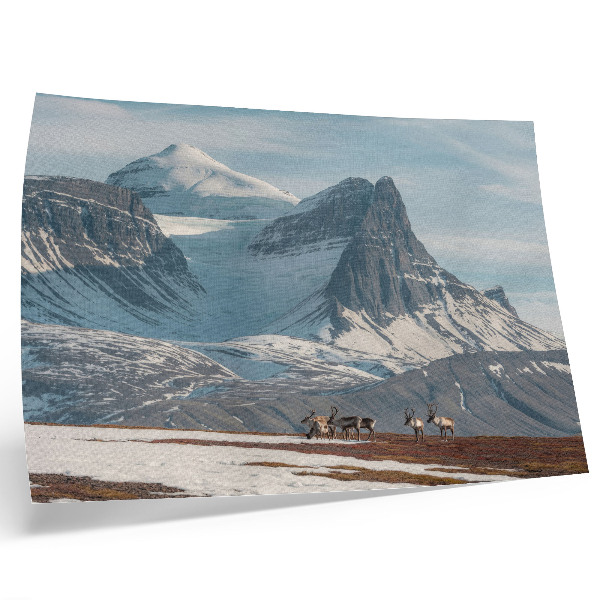 Stilren väggposter Pittoreska berg renar fred vinterlandskap