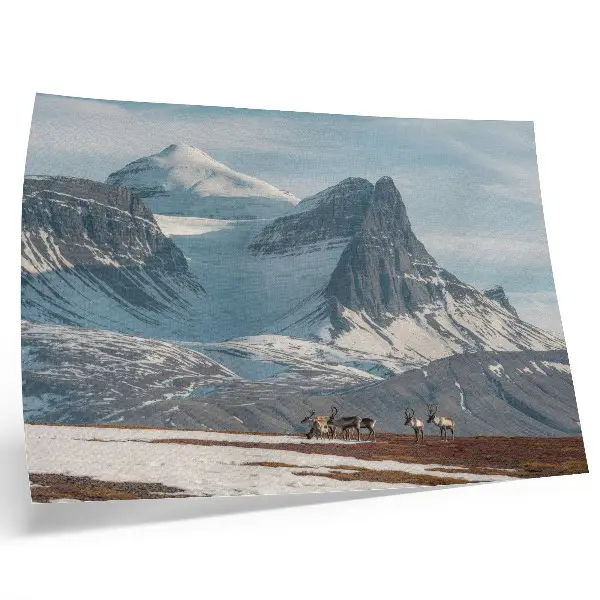 Väggposter pittoreskt vinterlandskap med berg och renar