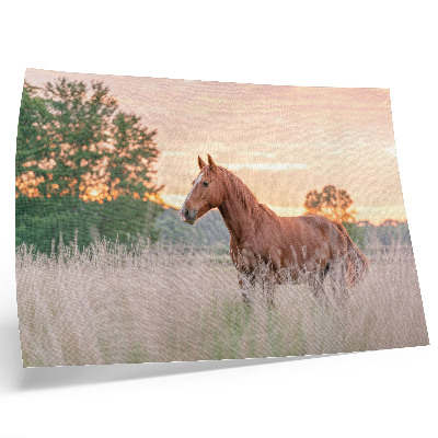 Poster till sovrum Häst på ängen på morgonen, pastellfärger, avkoppling