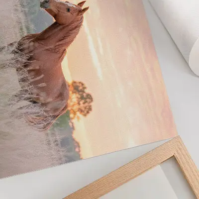 Poster till sovrum häst på ängen i morgonsol med pastellfärger för en avkopplande känsla