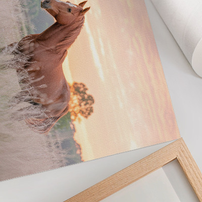 Poster till sovrum Häst på ängen på morgonen, pastellfärger, avkoppling