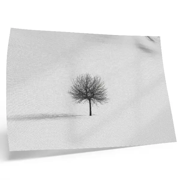 Väggposter minimalistiskt vinterlandskap med träd