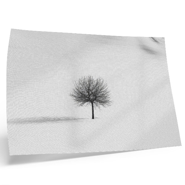 Stilren väggposter Minimalistiskt vinterträdlandskapsmotiv med harmoni