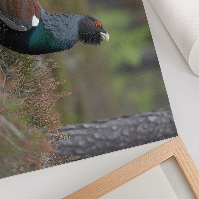 Poster Fågelfärger skog natur fredlig atmosfär
