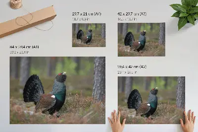 Poster med motiv av skog och fåglar i fridfull natur