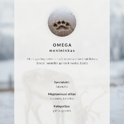 Poster Varg i rörelse vild landskap natur