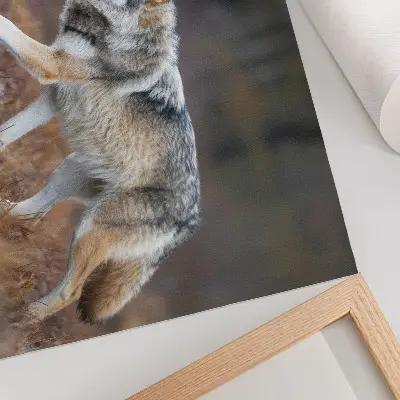 Poster varg i ett vilt naturlandskap