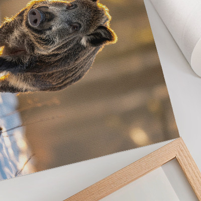 Stilren väggposter Ett vildsvin på en vinterbakgrund omgiven av solljus