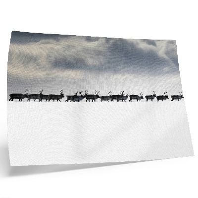 Väggposter Renar i snön, tystnad och rymd