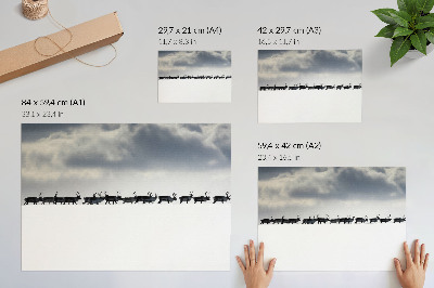 Väggposter Renar i snön, tystnad och rymd