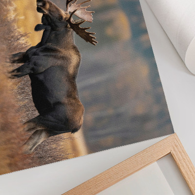 Poster Älg höstlandskap harmoni vildmark natur