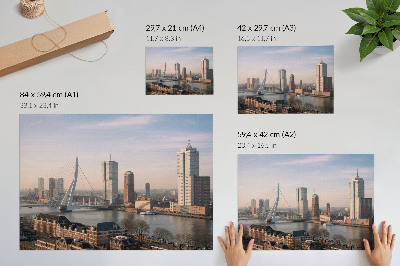 Väggposter Imponerande skyskrapor och en elegant bro över floden