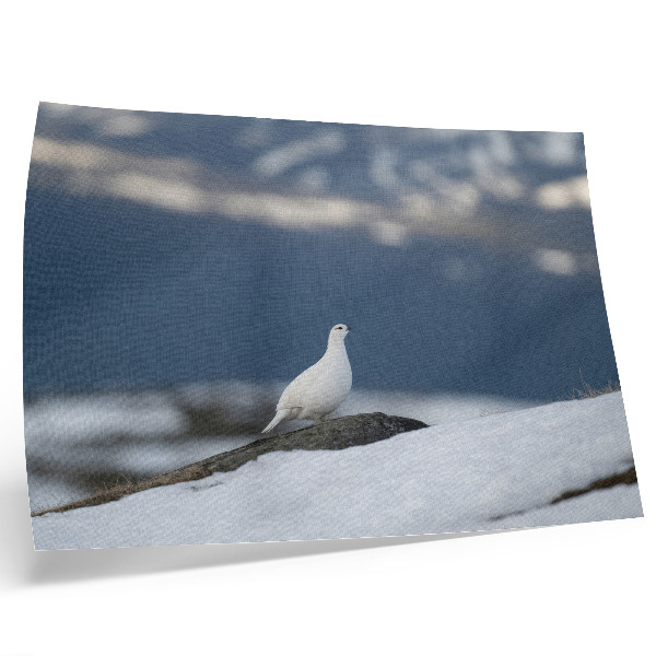 Stilren väggposter Fågel i snön vinterlandskap mildhet