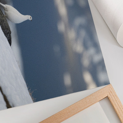 Stilren väggposter Fågel i snön vinterlandskap mildhet