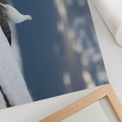Väggposter Fågel i snön vintermotiv med känsla av mildhet