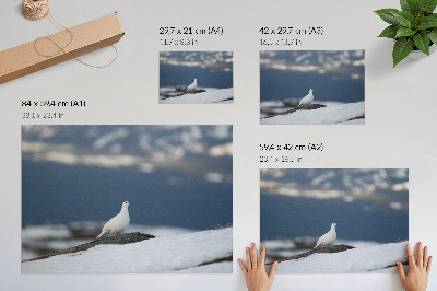 Stilren väggposter Fågel i snön vinterlandskap mildhet