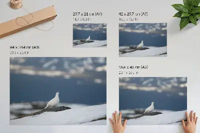 Väggposter Fågel i snön vintermotiv med känsla av mildhet