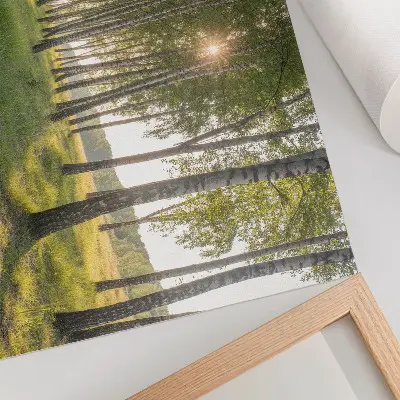 Poster till sovrum björkskogens solstrålar i grön symmetri