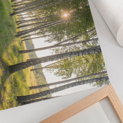 Poster till sovrum Björkskogens solstrålar symmetri grön